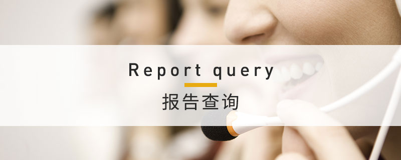报告查询